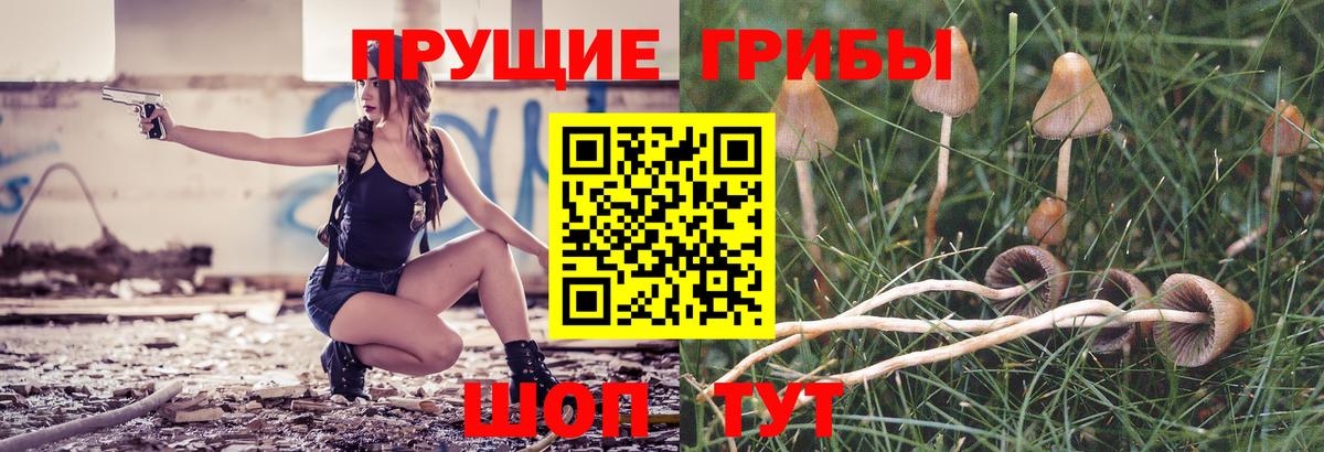 Горно-Алтайск  Псилоцибиновые грибы мухоморы  Вход с VPN 