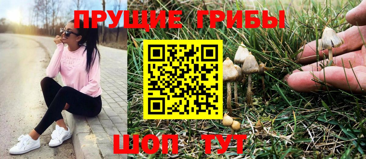 Галлюциногенные грибы Magic Shrooms Горно-Алтайск